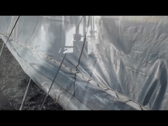 Granuli di humato di potassio/umato di sodio