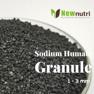 Water Soluble Sun Dried Granular Sodium Humate 3mm
